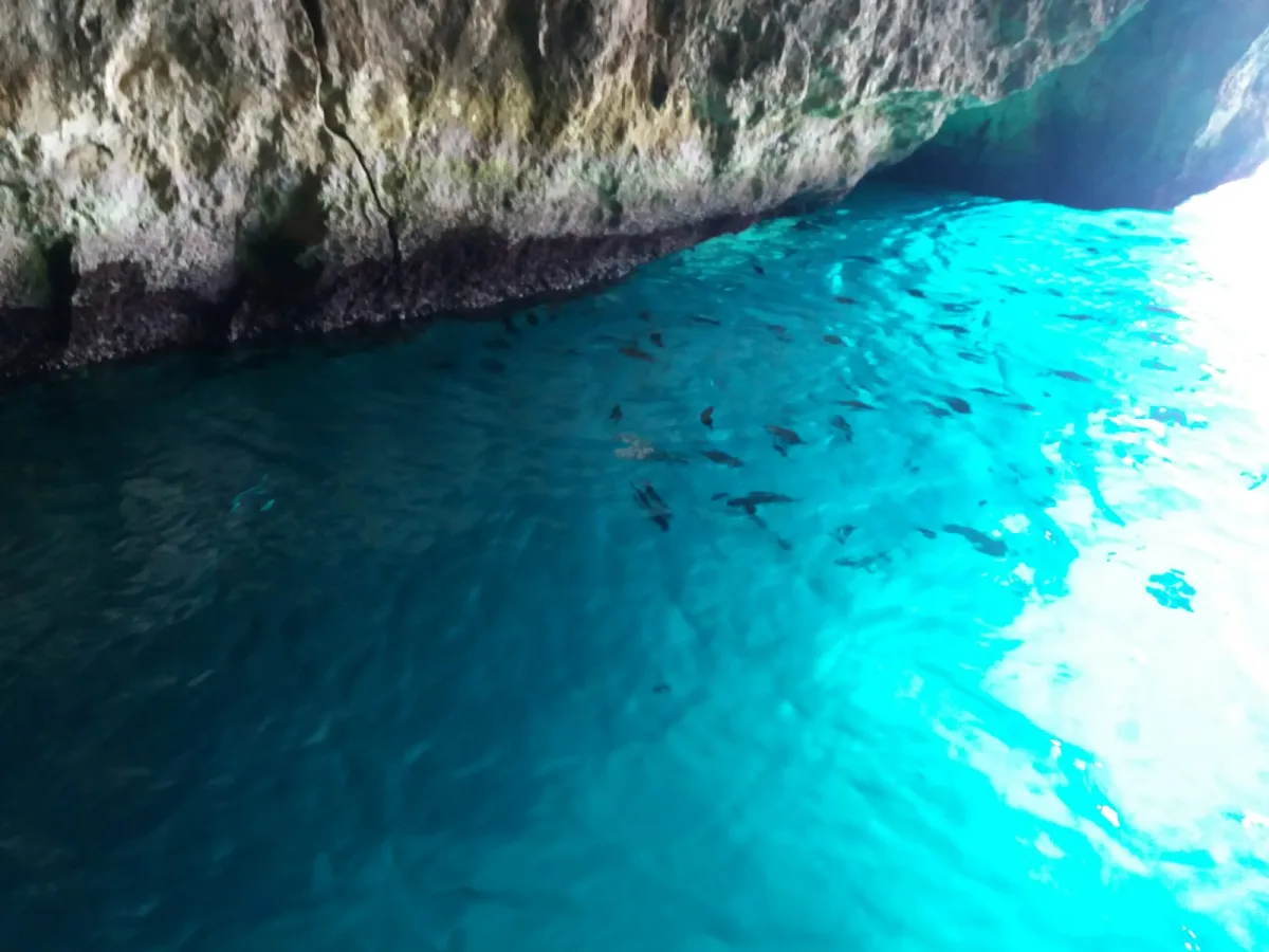 Eventi a Isole Tremiti settembre 2026: programma e date da non perdere